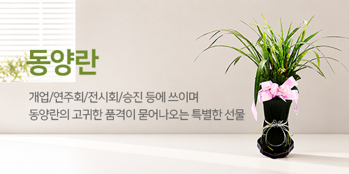 동양란